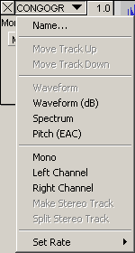 Track Pop-Down Menu